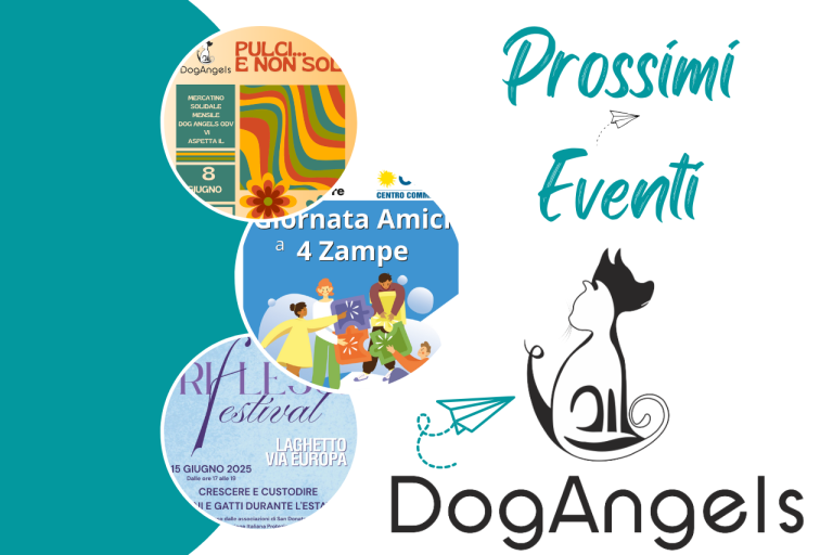 Prossimi eventi Dog Angels