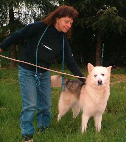 Animale assistito